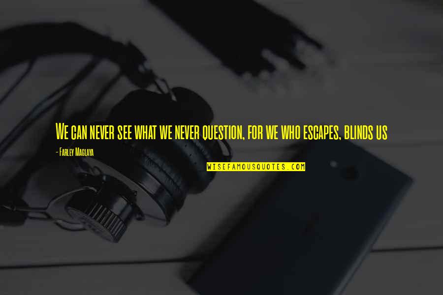 Continuous Efforts Quotes By Farley Maglaya: We can never see what we never question,