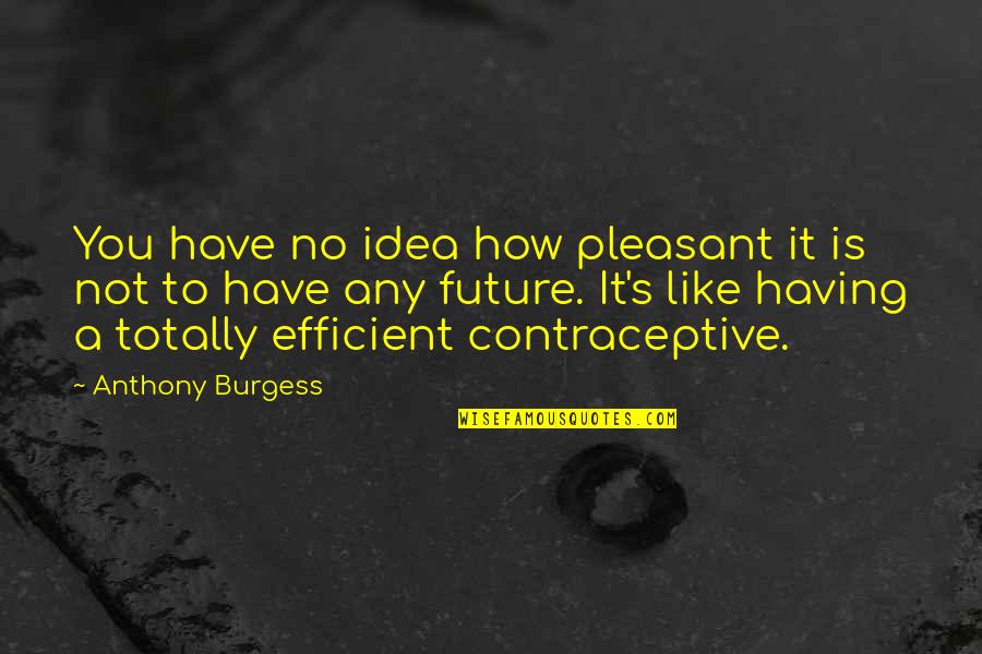 Contraceptive Quotes By Anthony Burgess: You have no idea how pleasant it is