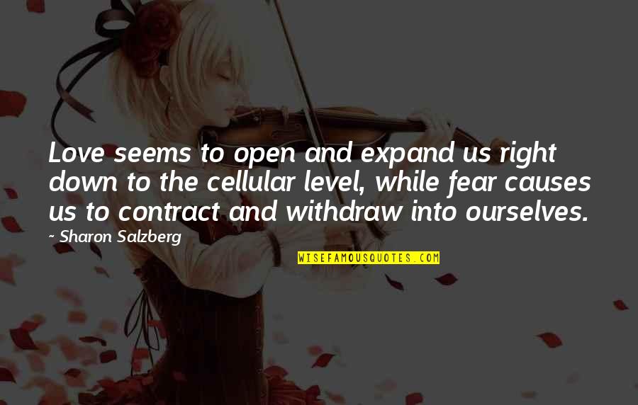 Contract Quotes And Quotes By Sharon Salzberg: Love seems to open and expand us right