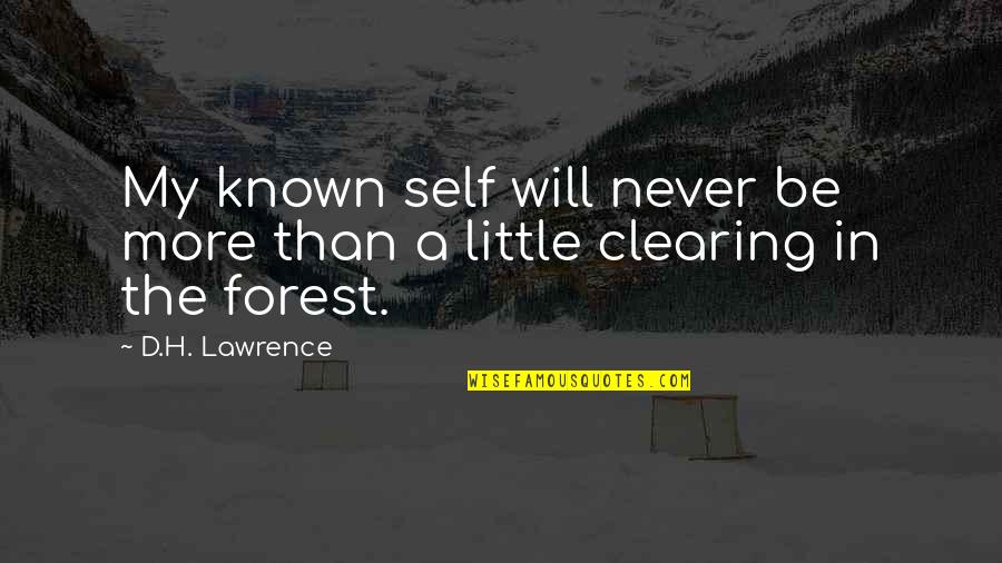 Contrapuntally Quotes By D.H. Lawrence: My known self will never be more than