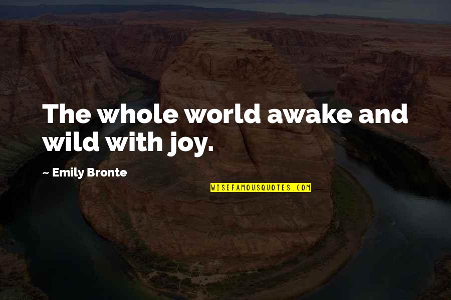 Contrariety Examples Quotes By Emily Bronte: The whole world awake and wild with joy.