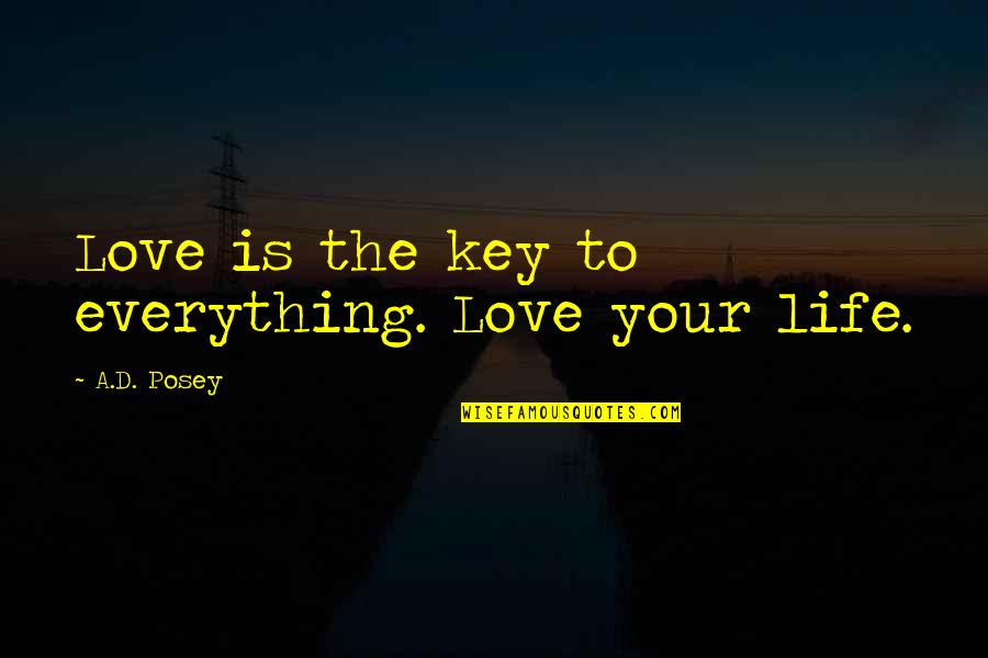 Contrite Quotes By A.D. Posey: Love is the key to everything. Love your