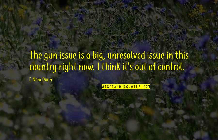 Control Issue Quotes By Nora Dunn: The gun issue is a big, unresolved issue