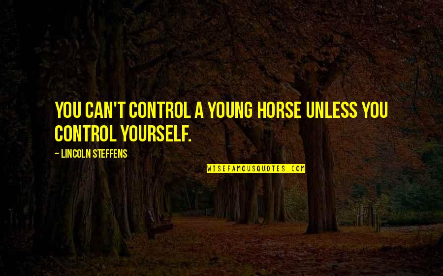 Control Over Yourself Quotes By Lincoln Steffens: You can't control a young horse unless you