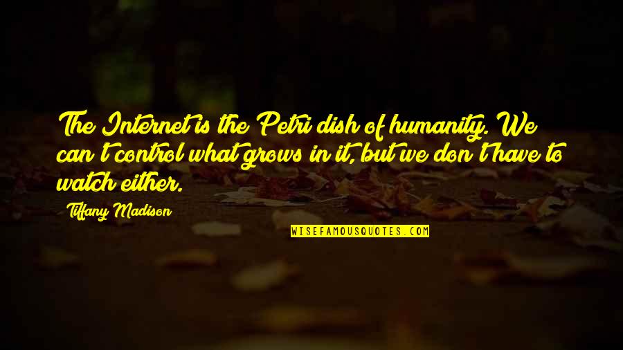Control Society Quotes By Tiffany Madison: The Internet is the Petri dish of humanity. Control Society Quotes By Tiffany Madison: The Internet is the Petri dish of humanity.