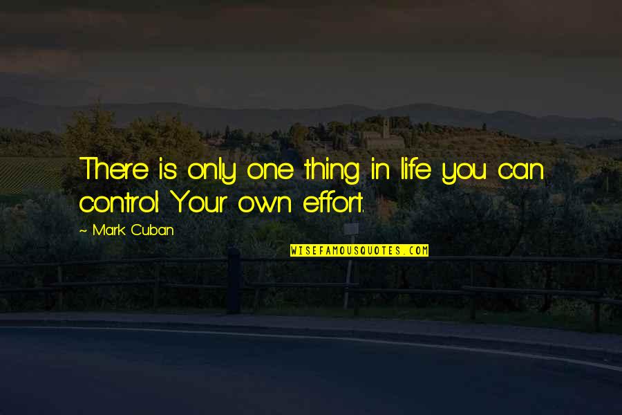 Control The Things That I Can Quotes By Mark Cuban: There is only one thing in life you