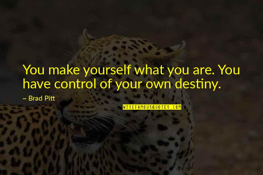 Control Your Destiny Quotes By Brad Pitt: You make yourself what you are. You have
