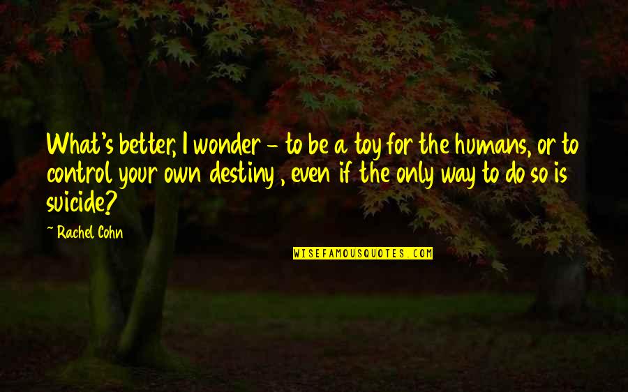 Control Your Destiny Quotes By Rachel Cohn: What's better, I wonder - to be a