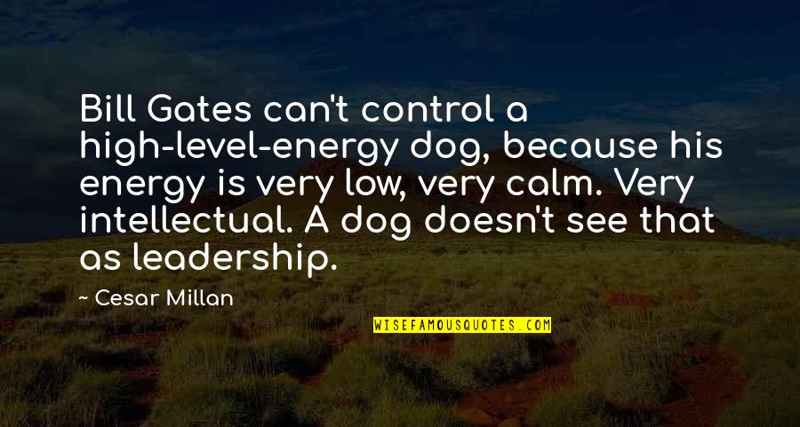 Control Your Energy Quotes By Cesar Millan: Bill Gates can't control a high-level-energy dog, because