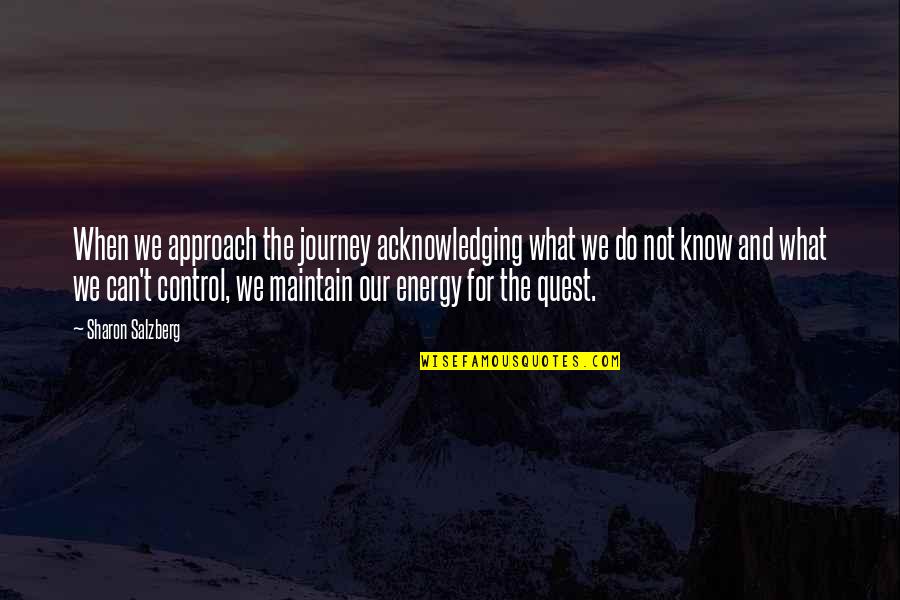Control Your Energy Quotes By Sharon Salzberg: When we approach the journey acknowledging what we
