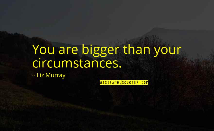 Controlling My Emotions Quotes By Liz Murray: You are bigger than your circumstances.