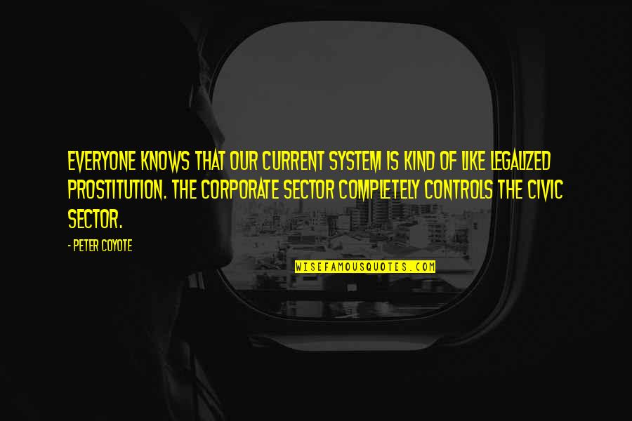 Controls Quotes By Peter Coyote: Everyone knows that our current system is kind