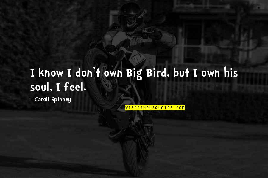 Contursi Laguna Quotes By Caroll Spinney: I know I don't own Big Bird, but Contursi Laguna Quotes By Caroll Spinney: I know I don't own Big Bird, but