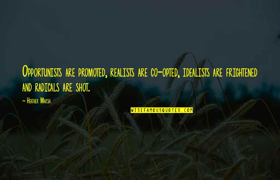 Conundra Oosterzele Quotes By Heather Marsh: Opportunists are promoted, realists are co-opted, idealists are