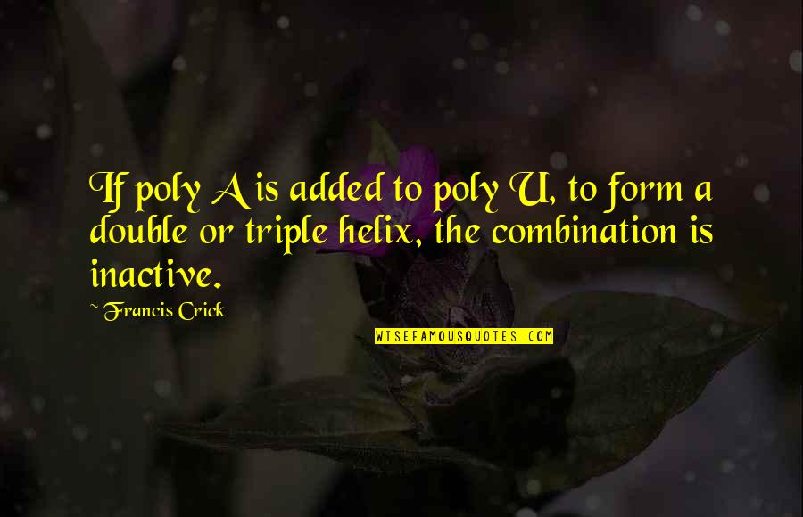 Converges Quotes By Francis Crick: If poly A is added to poly U,