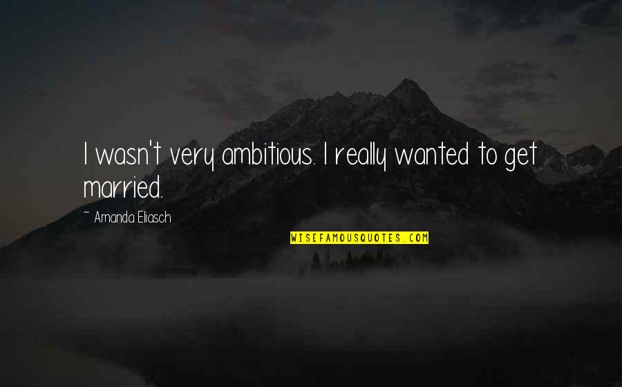 Conversation With God Book Quotes By Amanda Eliasch: I wasn't very ambitious. I really wanted to