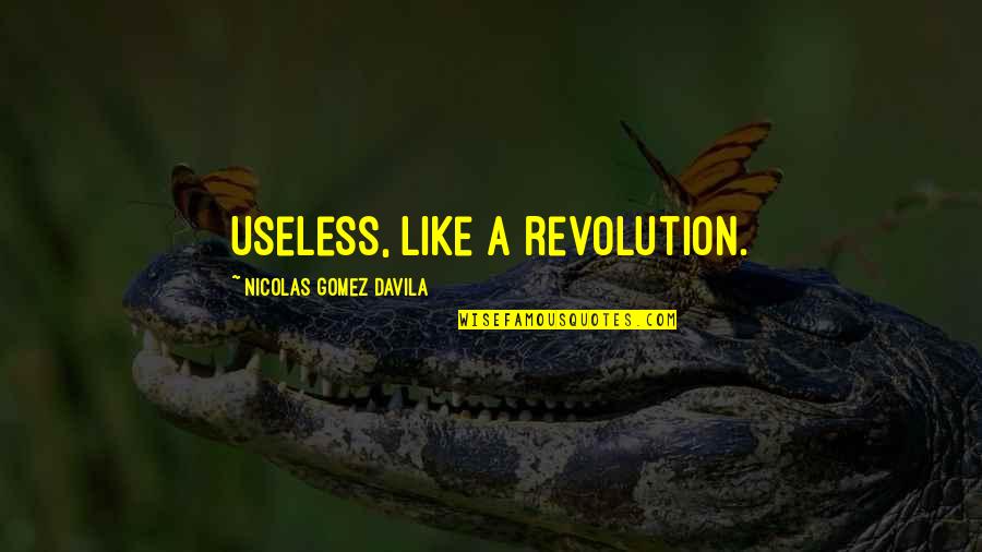 Conversations With God Book One Quotes By Nicolas Gomez Davila: Useless, like a revolution.