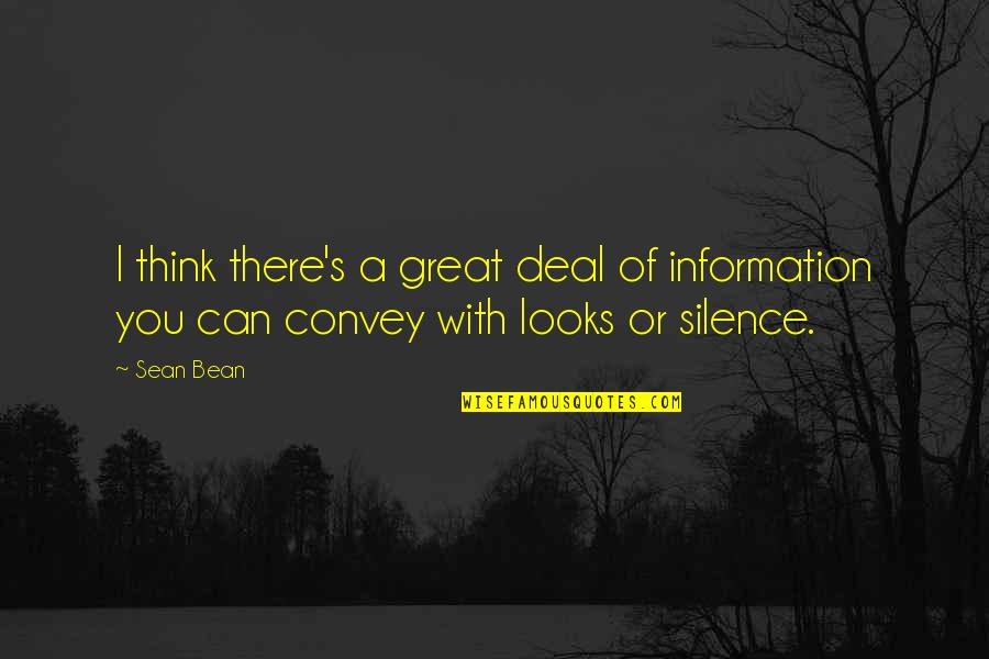 Convey Quotes By Sean Bean: I think there's a great deal of information