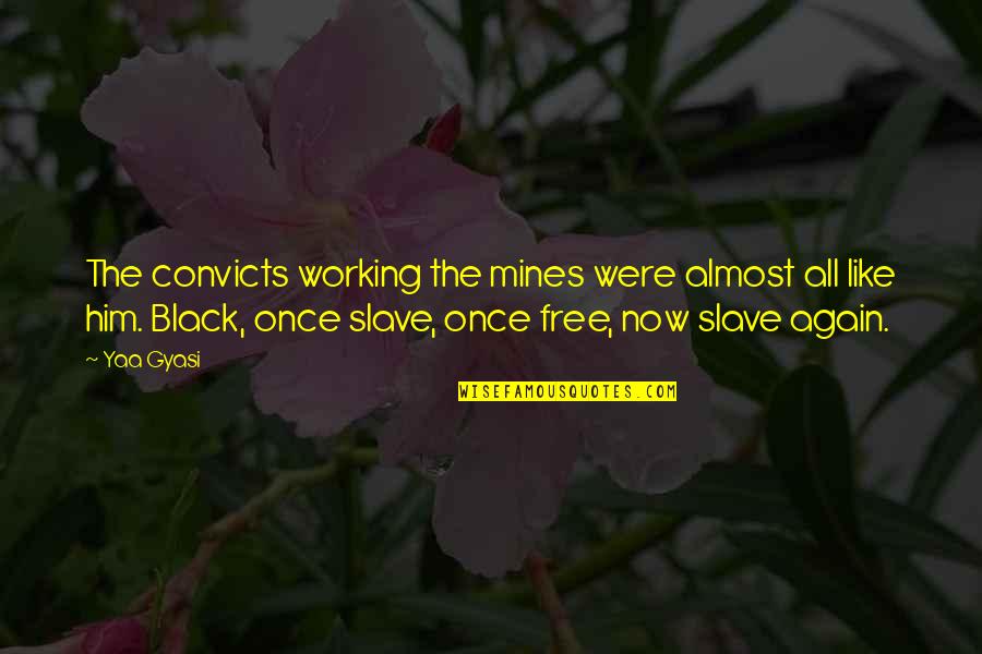 Convicts Quotes By Yaa Gyasi: The convicts working the mines were almost all