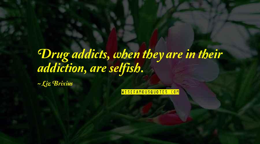 Convincer Quotes By Liz Brixius: Drug addicts, when they are in their addiction,