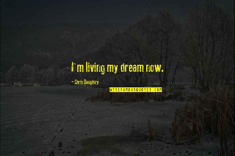 Convinse Quotes By Chris Daughtry: I'm living my dream now.
