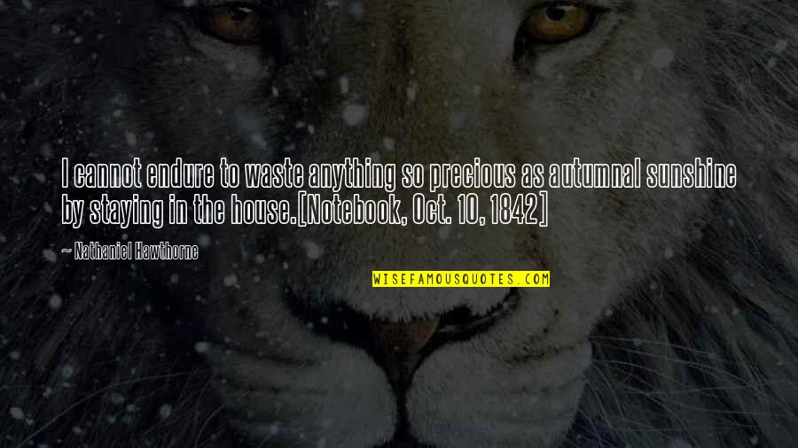 Conviser Broker Quotes By Nathaniel Hawthorne: I cannot endure to waste anything so precious Conviser Broker Quotes By Nathaniel Hawthorne: I cannot endure to waste anything so precious