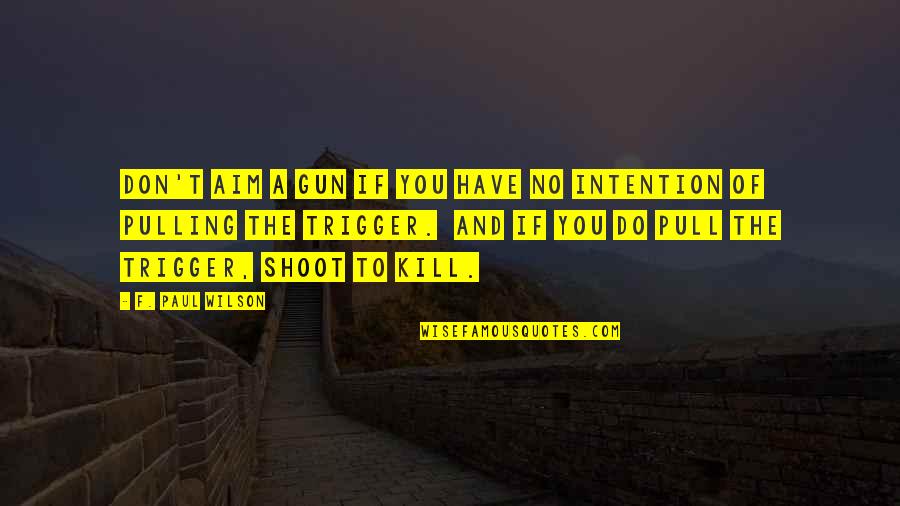 Convite De Casamento Quotes By F. Paul Wilson: Don't aim a gun if you have no