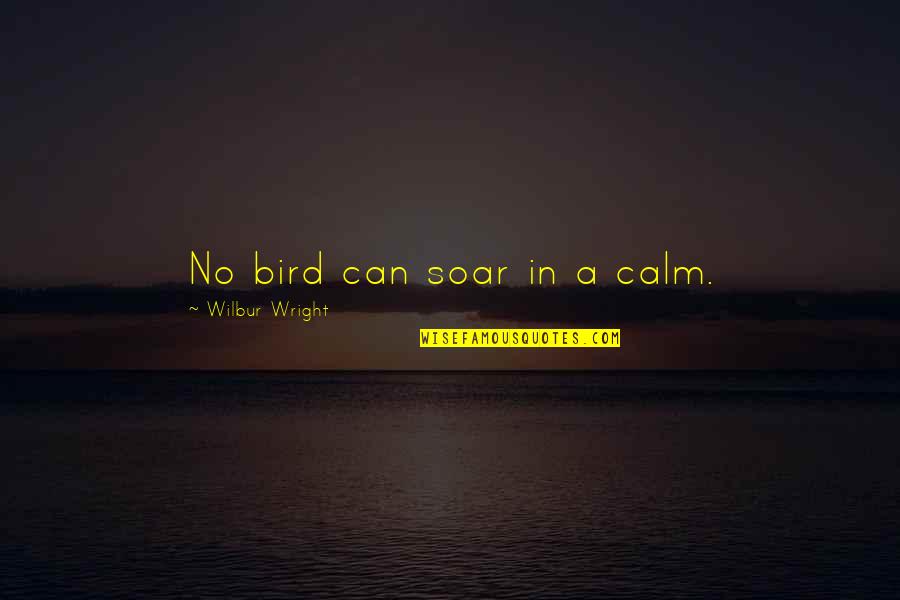 Conviviality 7 Quotes By Wilbur Wright: No bird can soar in a calm.