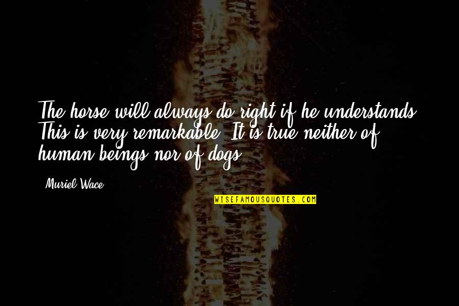 Convoquen Quotes By Muriel Wace: The horse will always do right if he