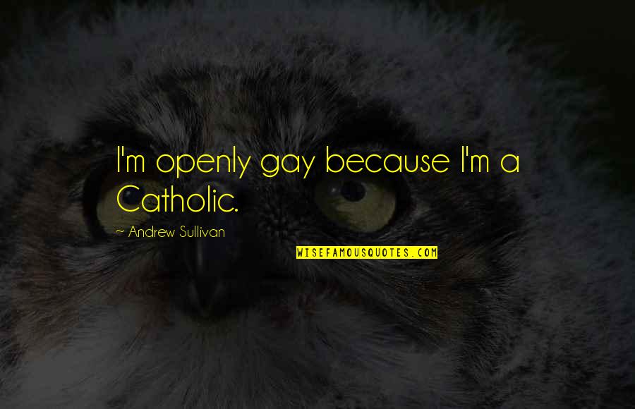 Convulsed In A Sentence Quotes By Andrew Sullivan: I'm openly gay because I'm a Catholic.