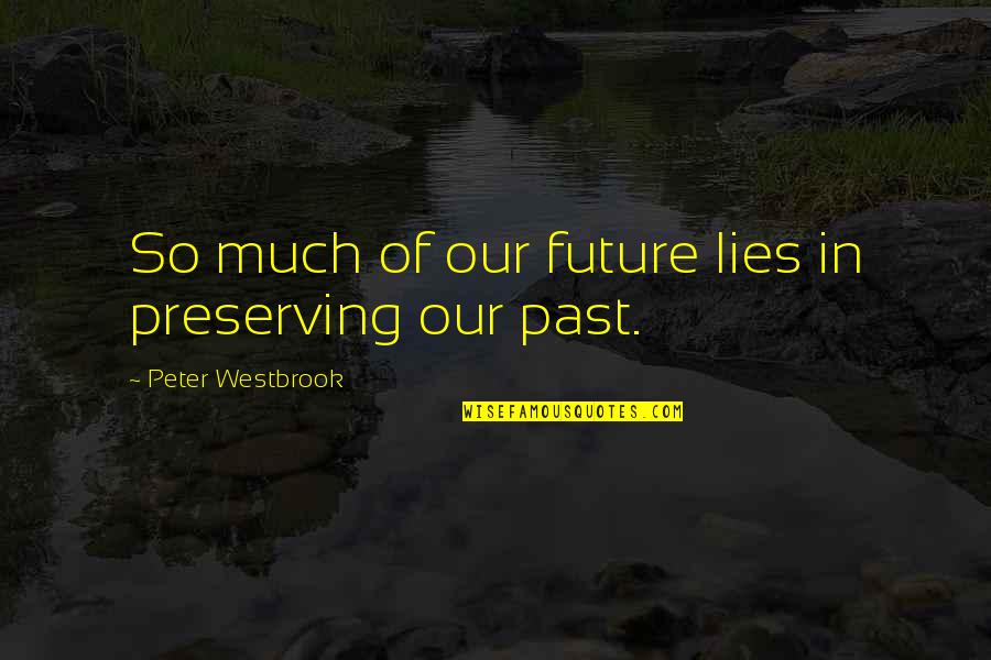 Convulses Quotes By Peter Westbrook: So much of our future lies in preserving Convulses Quotes By Peter Westbrook: So much of our future lies in preserving