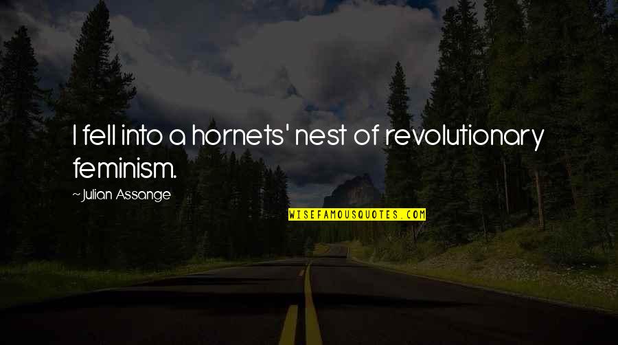 Coo Coo Nest Quotes By Julian Assange: I fell into a hornets' nest of revolutionary