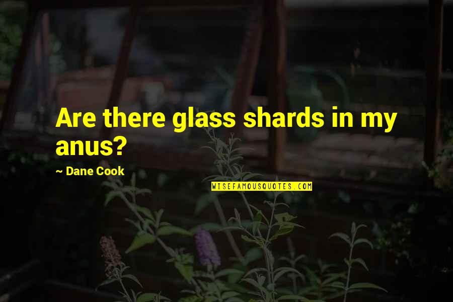 Coogan Law Quotes By Dane Cook: Are there glass shards in my anus?