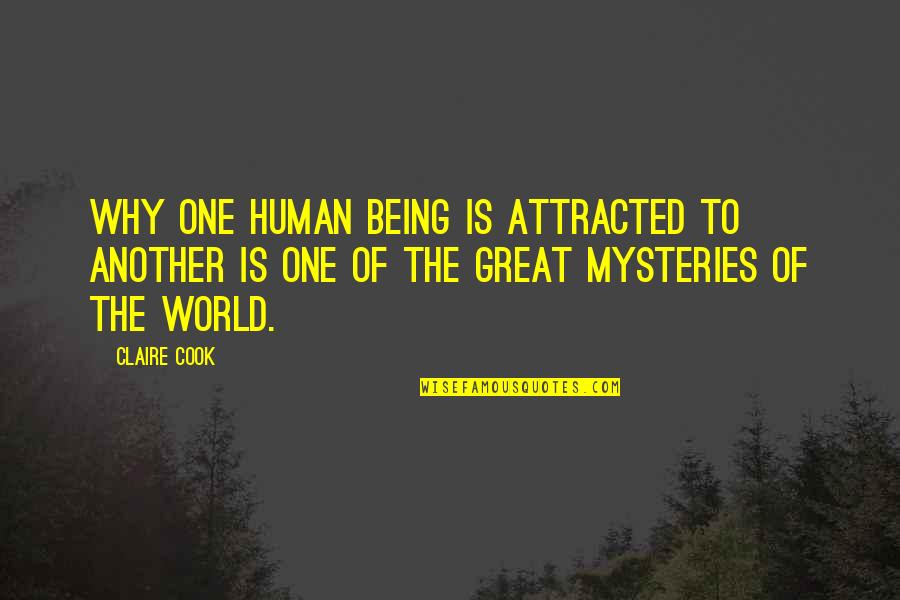 Cook Inspirational Quotes By Claire Cook: Why one human being is attracted to another