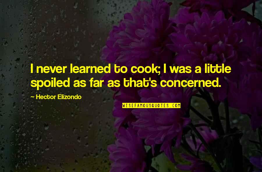 Cook That Quotes By Hector Elizondo: I never learned to cook; I was a