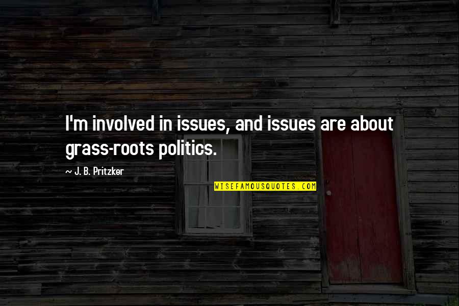Cookie Greenspan Quotes By J. B. Pritzker: I'm involved in issues, and issues are about Cookie Greenspan Quotes By J. B. Pritzker: I'm involved in issues, and issues are about
