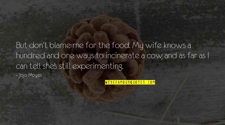 Cooking And Food Quotes By Jojo Moyes: But don't blame me for the food. My