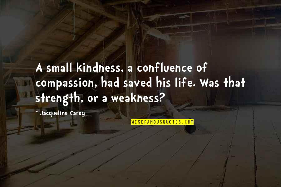 Cooking And Happiness Quotes By Jacqueline Carey: A small kindness, a confluence of compassion, had