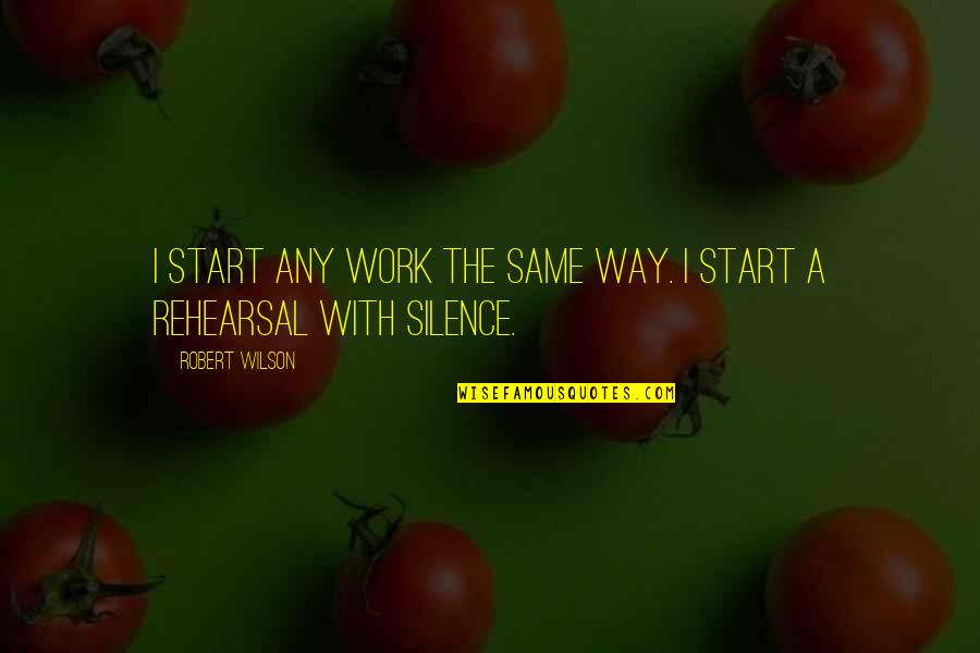 Cooking Phrases Quotes By Robert Wilson: I start any work the same way. I