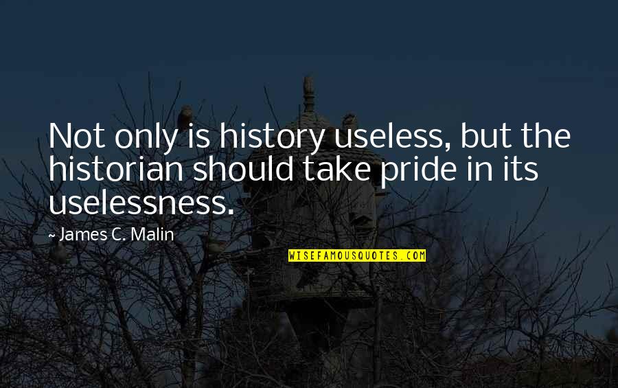 Cooking Recipes Quotes By James C. Malin: Not only is history useless, but the historian