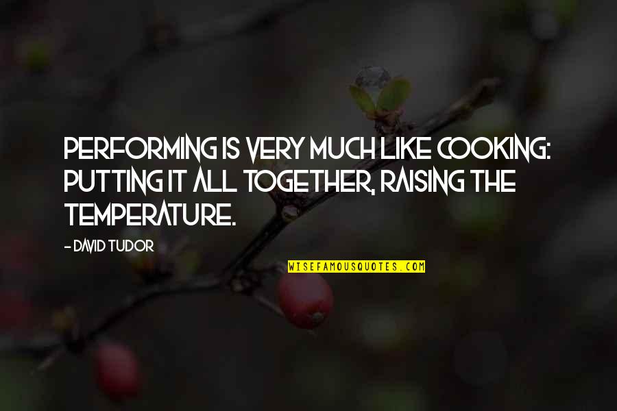 Cooking Together Quotes By David Tudor: Performing is very much like cooking: putting it