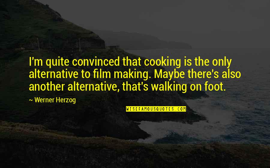Cooking's Quotes By Werner Herzog: I'm quite convinced that cooking is the only Cooking's Quotes By Werner Herzog: I'm quite convinced that cooking is the only