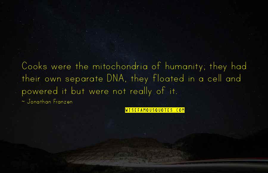 Cooks Quotes By Jonathan Franzen: Cooks were the mitochondria of humanity; they had
