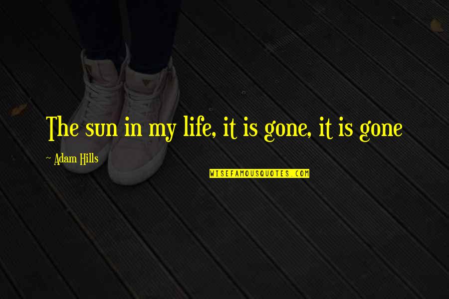 Cool Autism Quotes By Adam Hills: The sun in my life, it is gone,