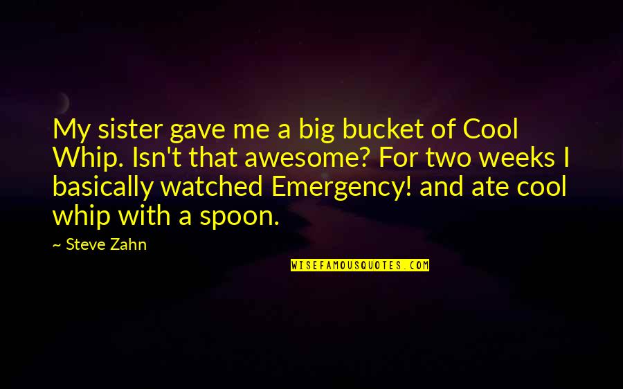 Cool Awesome Quotes By Steve Zahn: My sister gave me a big bucket of
