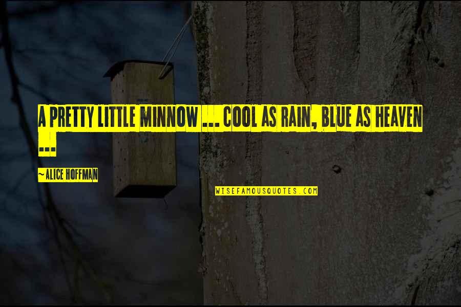 Cool Blue Quotes By Alice Hoffman: A pretty little minnow ... cool as rain,