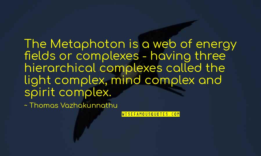 Cool Dessert Quotes By Thomas Vazhakunnathu: The Metaphoton is a web of energy fields