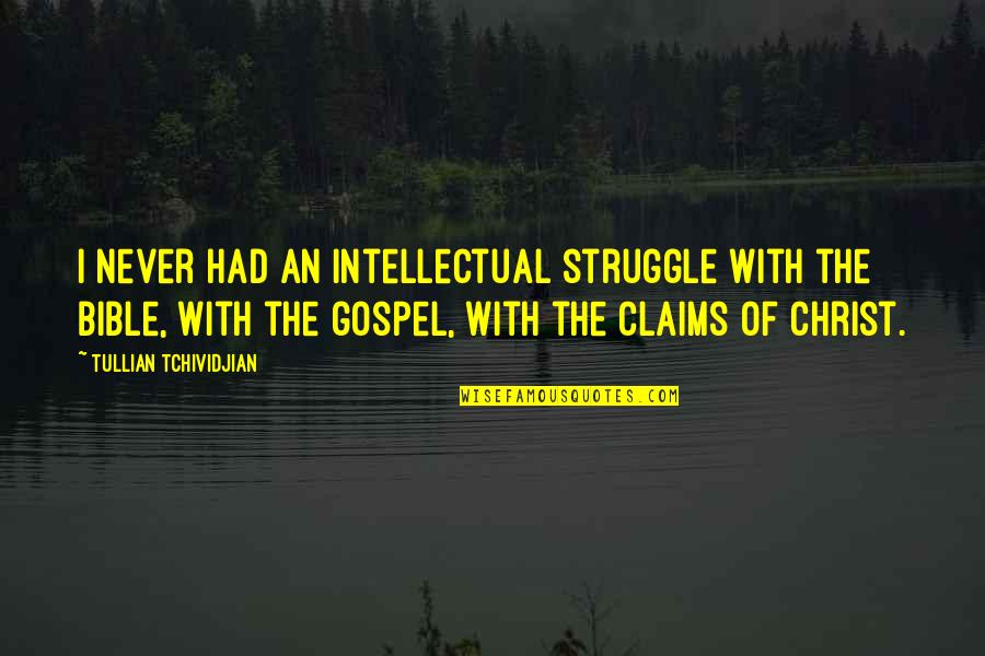 Cool Fox Quotes By Tullian Tchividjian: I never had an intellectual struggle with the