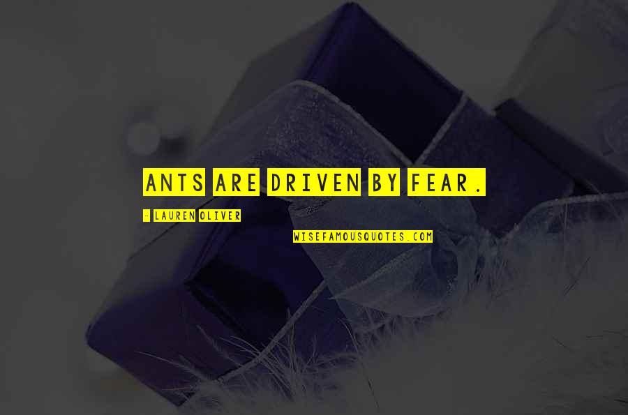Cool Good Evening Quotes By Lauren Oliver: Ants are driven by fear. Cool Good Evening Quotes By Lauren Oliver: Ants are driven by fear.