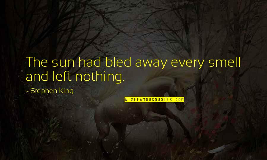 Cool Gunslinger Quotes By Stephen King: The sun had bled away every smell and